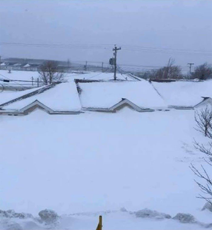 casas cubiertas de nieve en Terranova