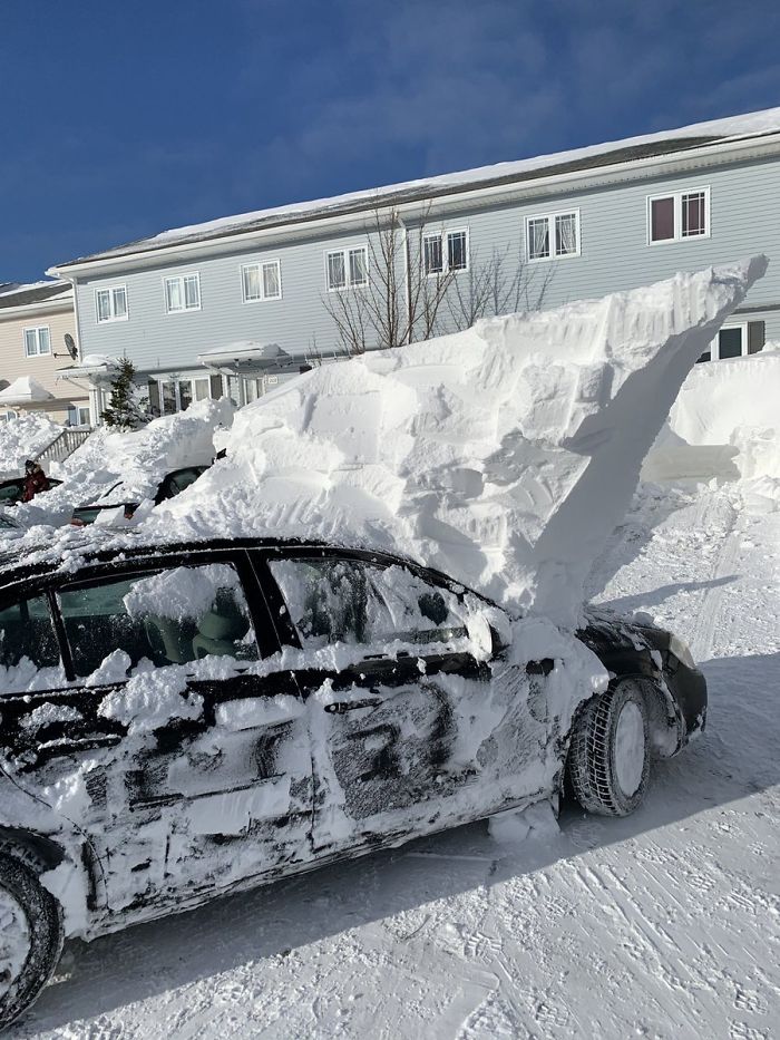 Blizzard Terranova desenterró coche