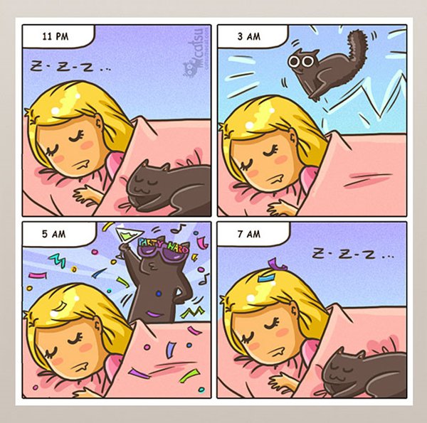 vida-con-gatos-despiertos-por-la-noche