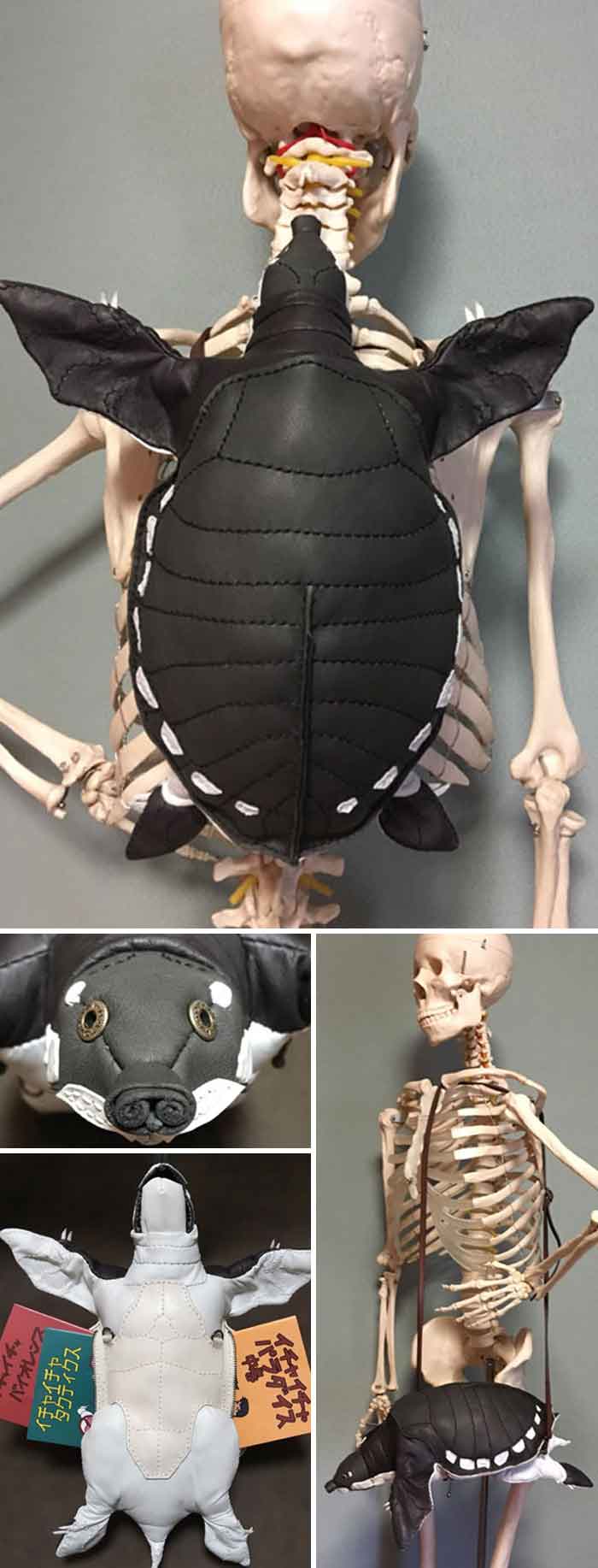 bolsos de tortuga negra inspirados en amaheso