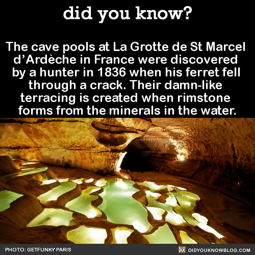 Piscinas de la cueva en la grotte de St Marcel d'ardeche en Francia
