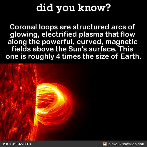 corona de bucles sobre la superficie del sol 