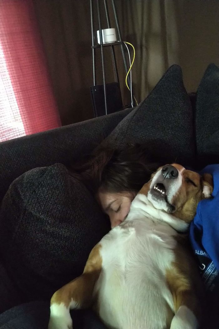 dientes graciosos perros de sueño profundo