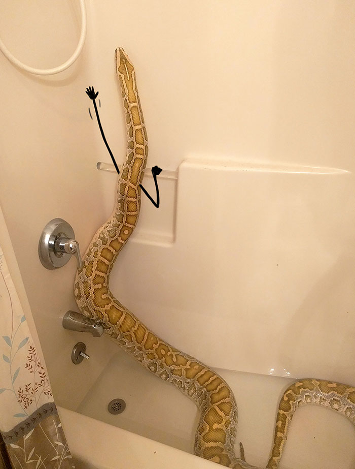 divertidas fotos de serpientes de ducha de garabatos