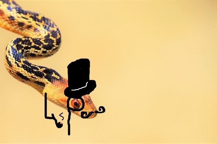 divertidas imágenes de serpientes garabatos de fantasía