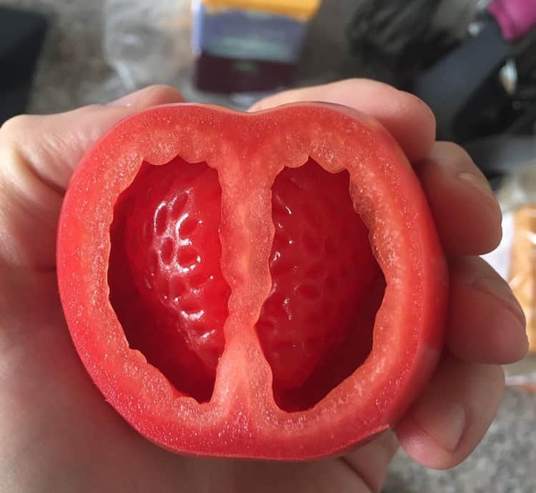impresionantes fotos de fresa dentro de un tomate