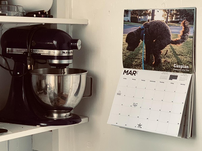 Calendario de caca de perros colgado en la pared.