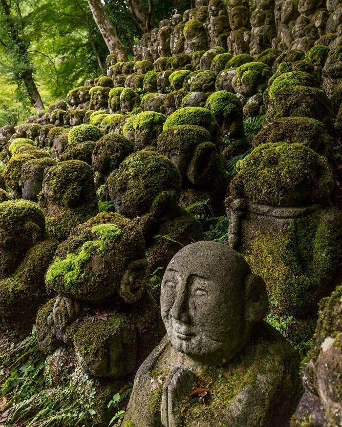 un santuario en la naturaleza japonesa que exige la devolución de la posesión