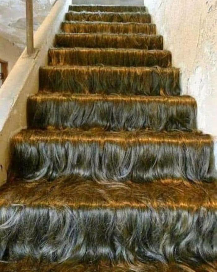 Escaleras cubiertas de pelo
