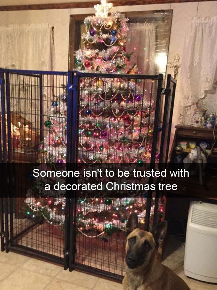 Protección del árbol de Navidad
