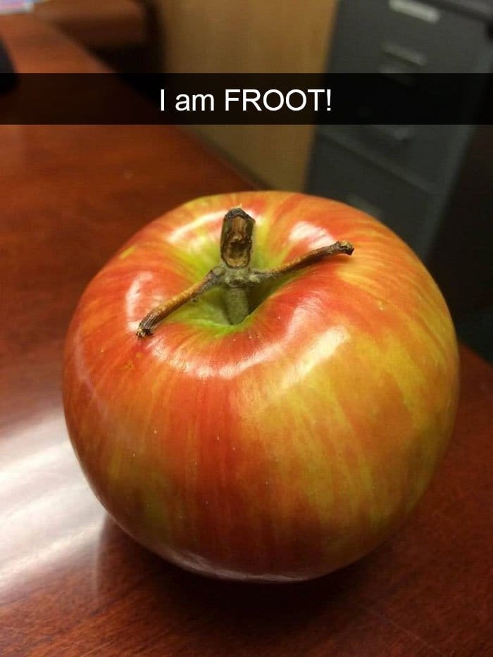 fruta-verdura-manzana-en-forma-irregular-en-el-tiempo-froot