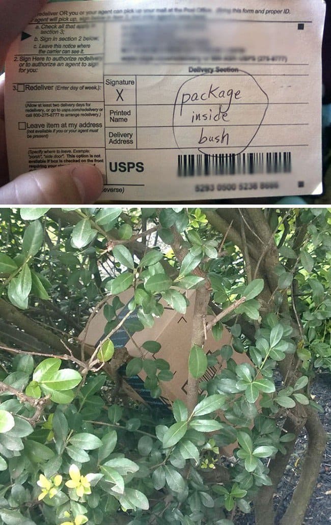 paquete dentro de un arbusto