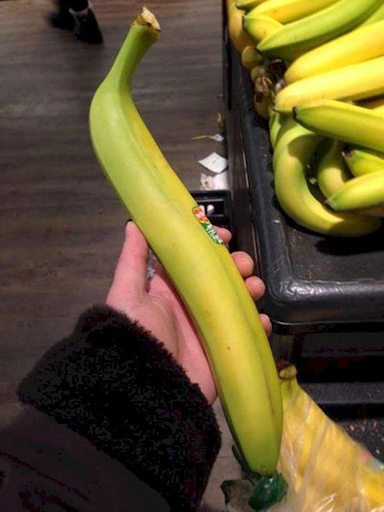 plátano largo extraño