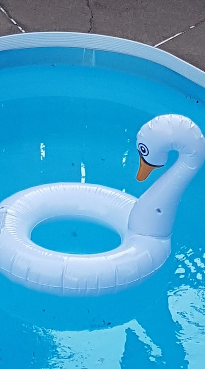 diseños de flotador de piscina de cisne de mierda