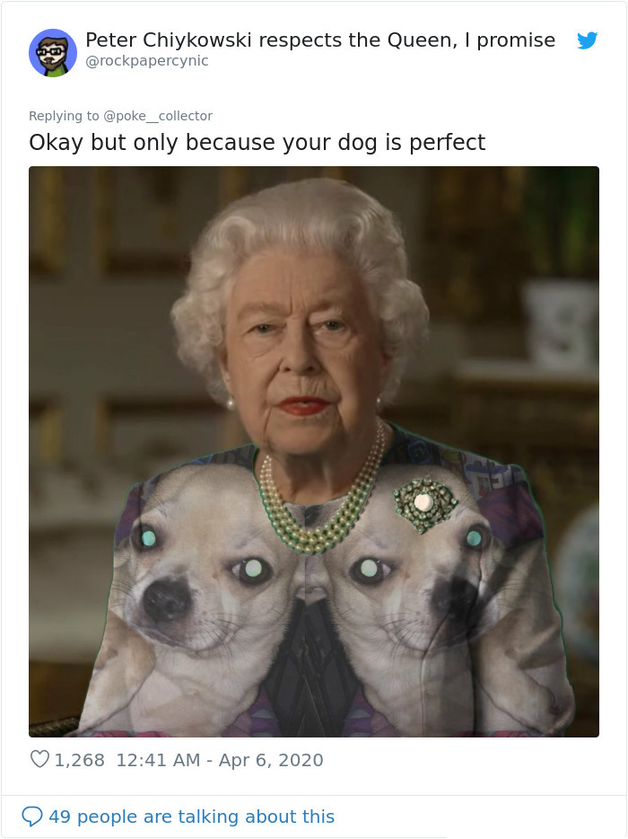 memes de perro vestido verde real