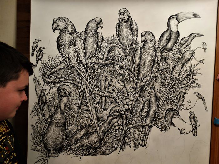 Dibujo de Krtolica para varios pájaros
