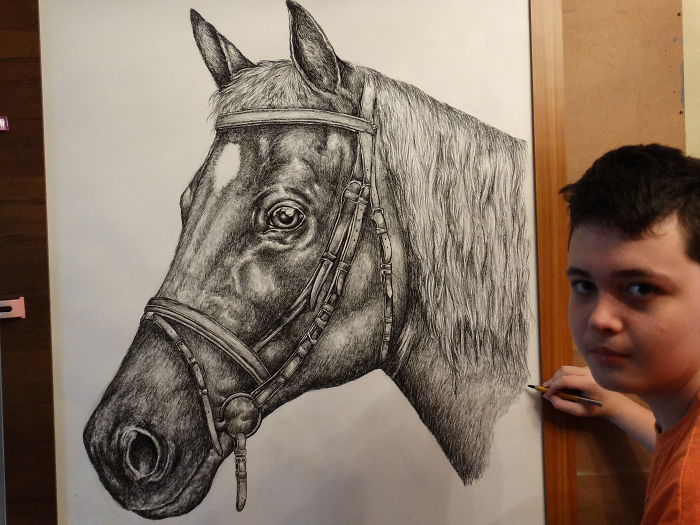 Krtolica trabajando en su dibujo de un caballo