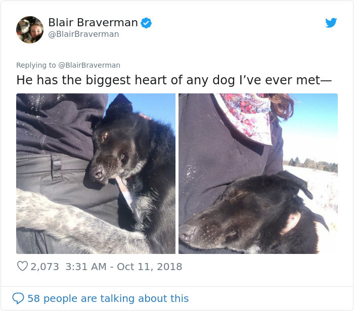 blair braverman perro de trineo grinch corazón más grande