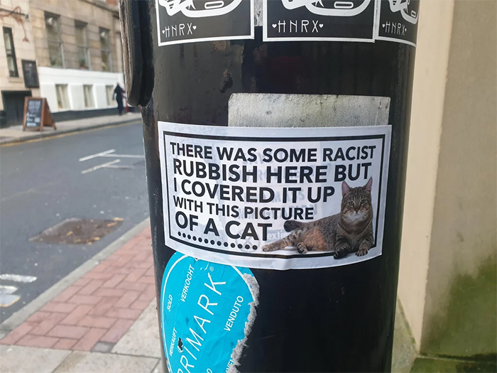 cartel de gato cubre arena racista