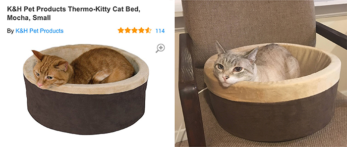 comparación de camas para gatos mejor de lo esperado
