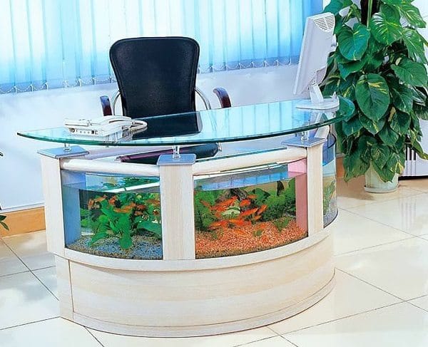 mesa de oficina de acuario