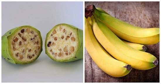 fruta-plátanos