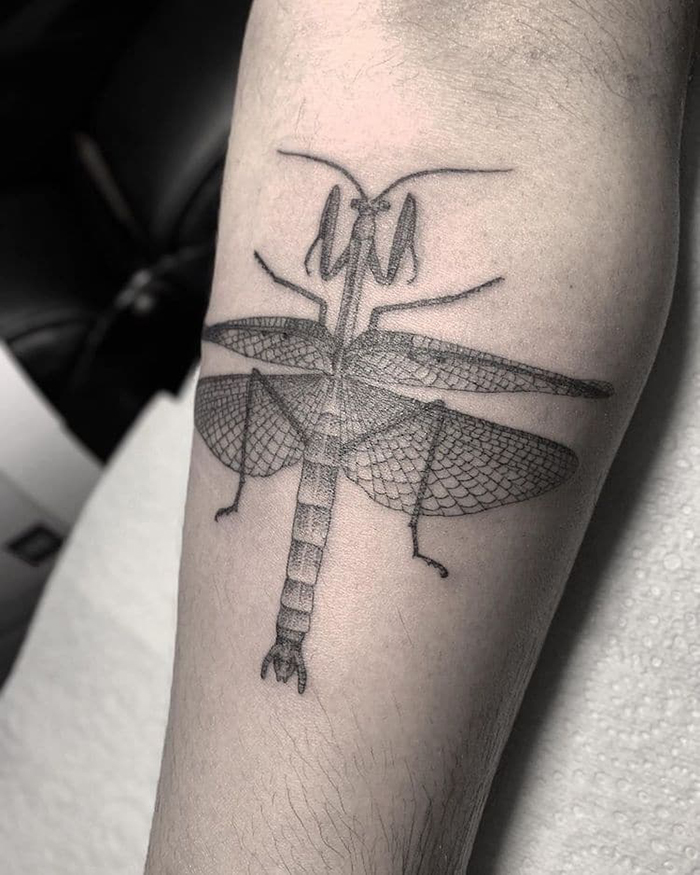 Tatuaje Insecto Dotwork por Annita Maslov