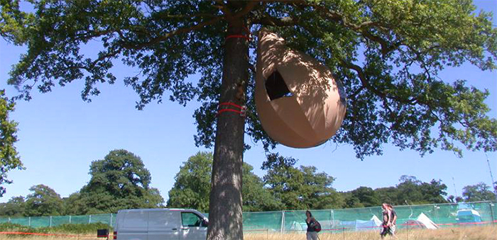 carpas para árboles edición 2005