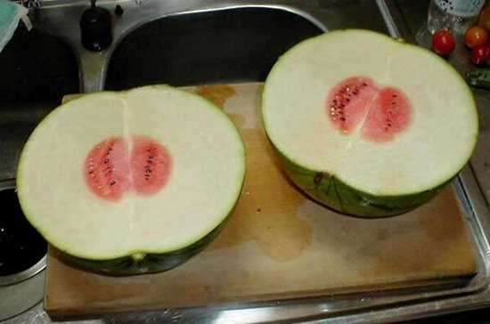 decepcionante-cosas-melon