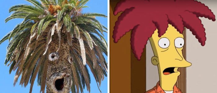 Iconos de la cultura pop disfrazados palm palm sidehow bob