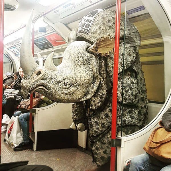 Las personas más extrañas que jamás haya visto el rinoceronte del metro