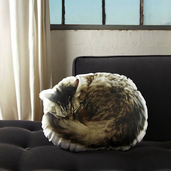 almohada de gato