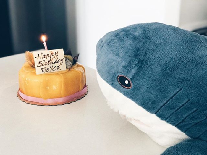 plush ikea shark toy pastel de cumpleaños