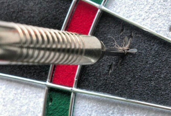 Increíbles coincidencias de dardos de mosquitos