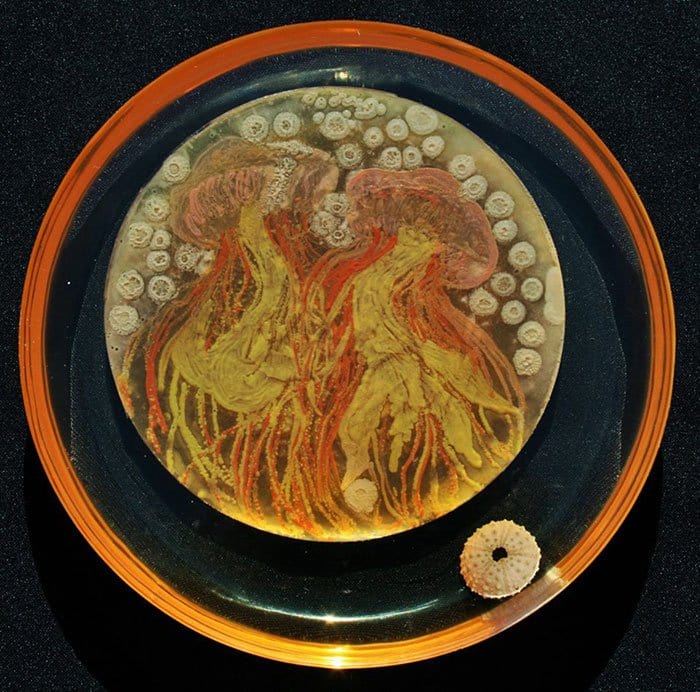 micro-competencia-de-arte-medusas