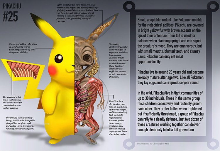 Pokémon-anatomía-pikachu
