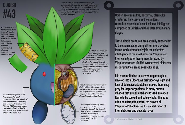 pokemon-anatomía-extraño