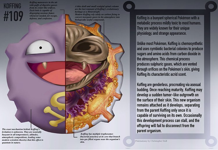 pokemon-anatomía-koffing