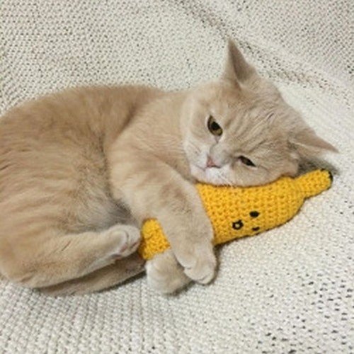 gato abrazando banana