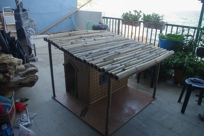 Techo de bambú